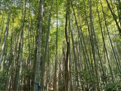 -鸡枕山