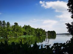 -东湖落雁景区