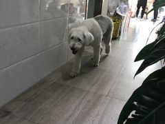 -暖阳宠物医院·犬猫康复中心·骨科