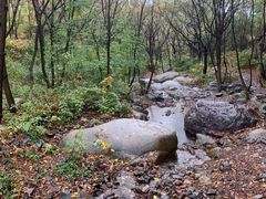 -云岫谷游猎自然风景区