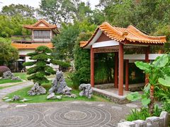 -深圳仙湖植物园