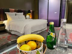 -南京禄口机场雅高铂尔曼大酒店