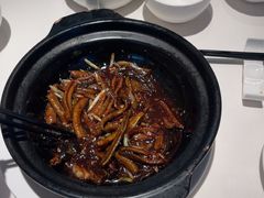 -苏浙汇(肇嘉浜路总店)