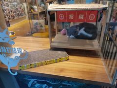 -小尾巴宠物店(万科·金域华庭店)