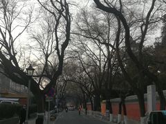 -北京国子监胡同