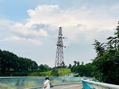 -白鹭湾湿地公园