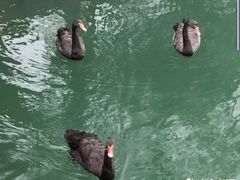 -石燕湖生态旅游景区