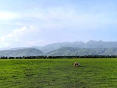 -新疆那拉提国家旅游度假区