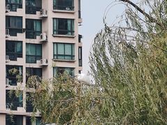 -苏州河梦清园环保主题公园