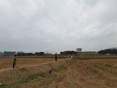 -光明小镇欢乐田园