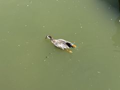-青藏高原野生动物园