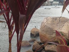 -南丫岛