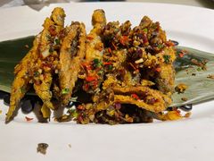 -佬麻雀·剁椒鱼头(京基KK One店)