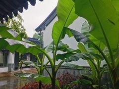 -江宁织造博物馆