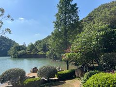 -桃花岭景区