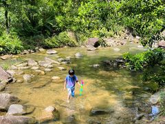 -广州白江湖森林公园