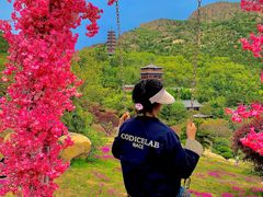 -石岛赤山风景区