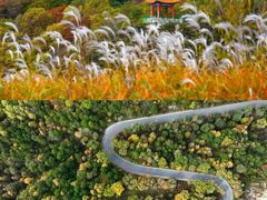 -野鸭湖国家湿地公园