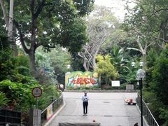 -利强记北角鸡蛋仔(弥敦道店 )