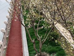 -全家便利店(上南路六店)