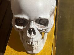 -长藤鬼校(龙翔店)