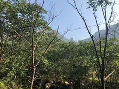 -大岭沟猕猴桃谷风景区