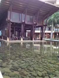 -三亚亚龙湾红树林度假酒店