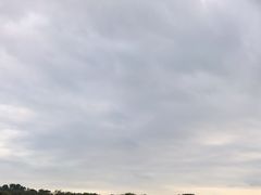 -东莞植物园