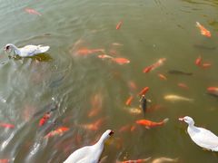 -大连外国语大学(旅顺校区)