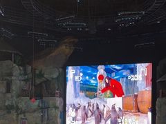 -芜湖新华联大白鲸海洋公园