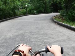 -圣淘沙天际线斜坡滑车