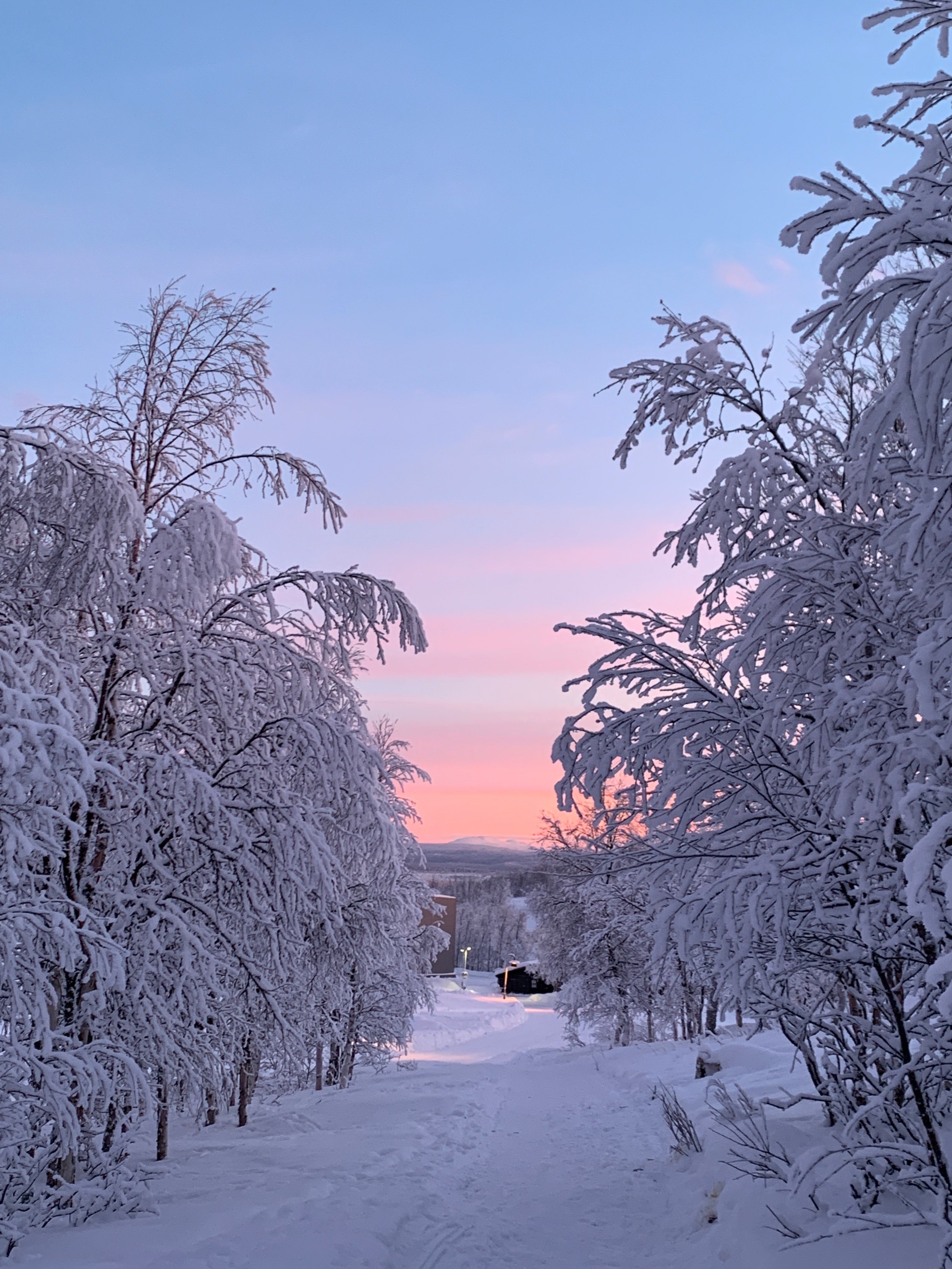 世界上最美的雪景图片图片