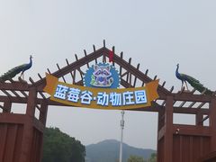 -金石滩蓝莓谷庄园