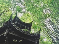 -凤栖山
