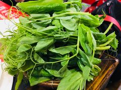 豌豆尖-镇江龙·火锅串串(武侯祠店)