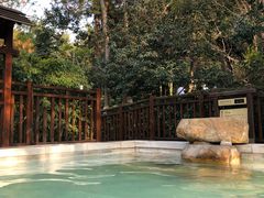 -天目湖涵田半山温泉