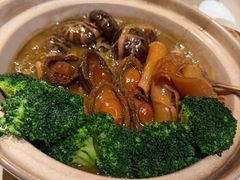 -皇朝会.经典传统粤菜(外滩店)