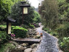 -宜春明月山维景国际温泉度假酒店
