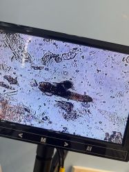 -Cream88颜皮肤管理中心