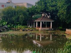 -东莞市可园博物馆