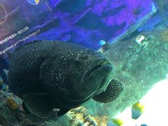 -沈阳海洋探索中心