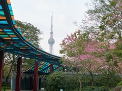 -文华公园(禅城区)