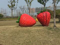 -菊园百果园
