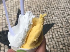 -柠檬车露(卖草地店)