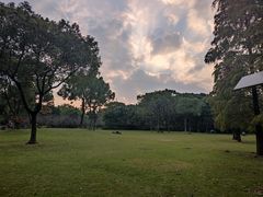 -新洲生态园