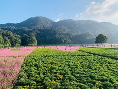 -广州市石门国家森林公园