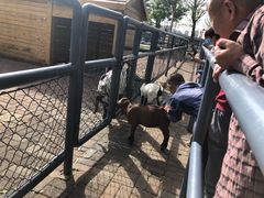 -长白岛森林公园