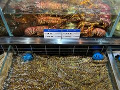 -宁海食府·涌宴(真和店)