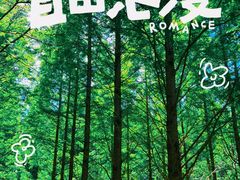 -日照海滨国家森林公园