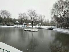 -兰陵国家农业公园